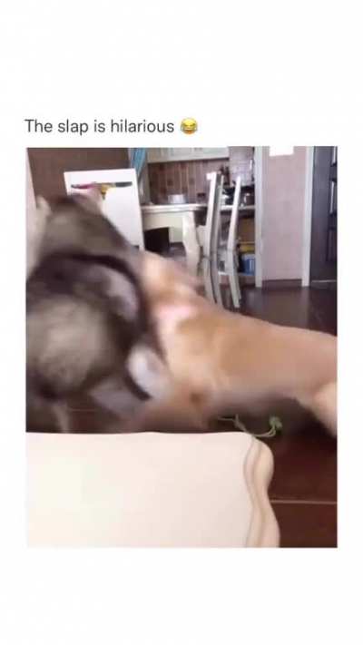 emotional damage