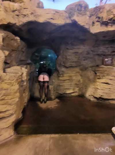 [f] short skirts always make for the best dares