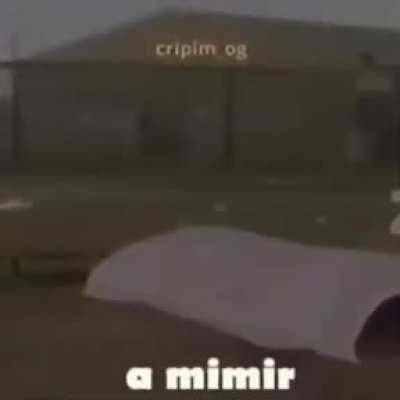A mimir