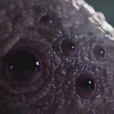 I see you: Thanks, I hate it