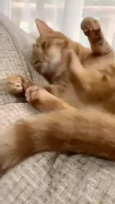 When you pick a fight with the wrong appendage.
