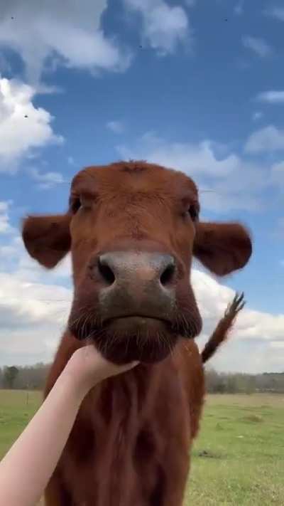 NFC