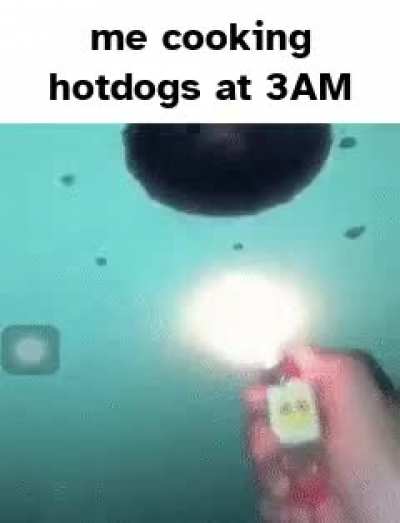 Forbidden hotdog