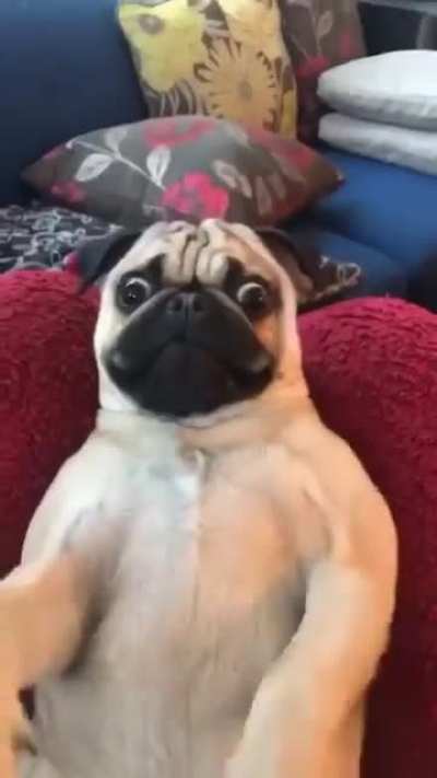 Want a Treat......