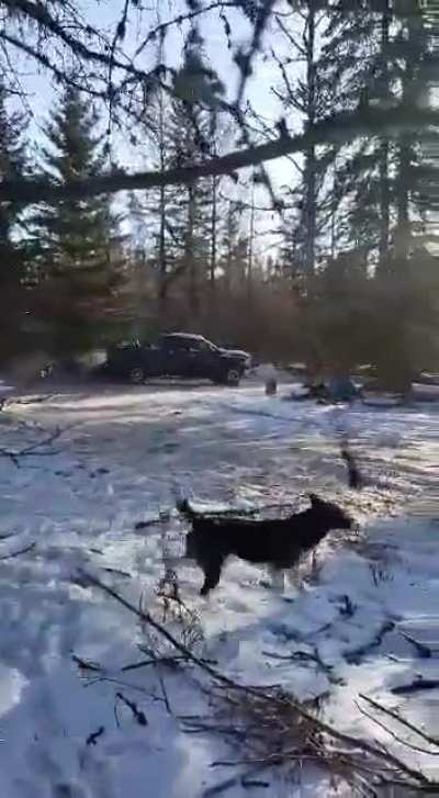 Canadians doing Canadian things