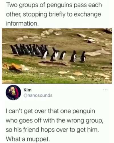 Meirl