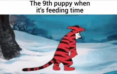 No milk for me