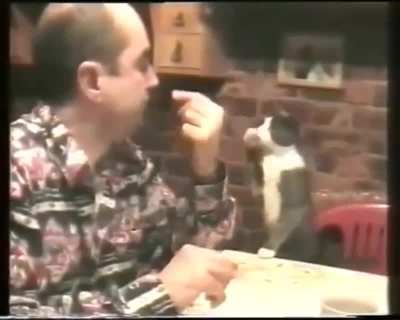 Cat using sign language with its deaf owner