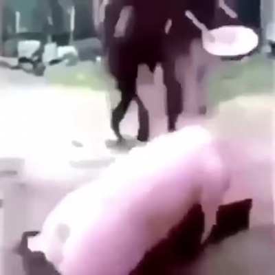 Offensive at its peak
