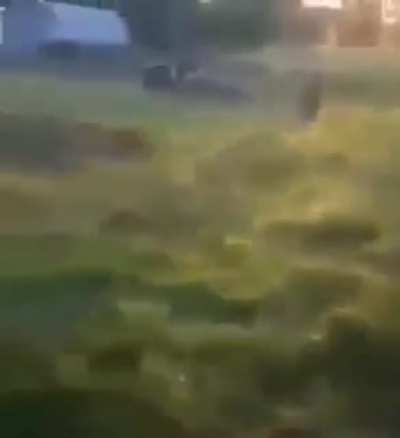 Combust&atilde;o gratis