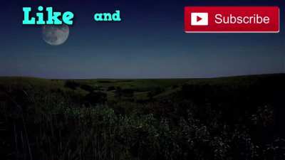 like and subscribe