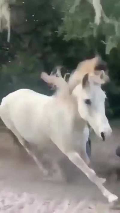 FOOD! Get off me!