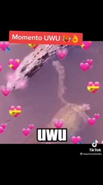 ✨❤️
