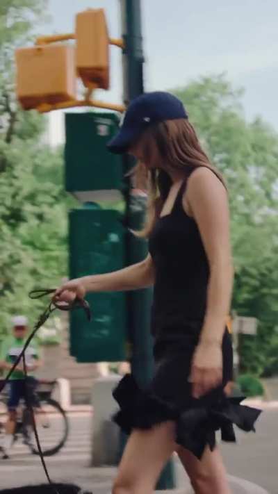 Walking dogs in NY &middot; Barbara's IG &middot; August 5, 2024