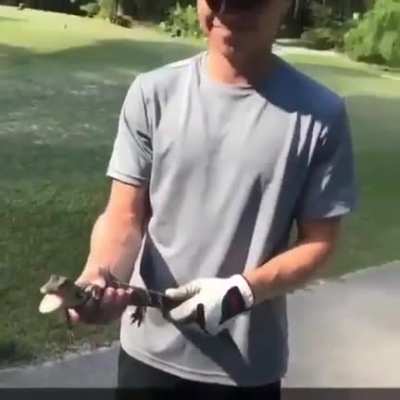 This must&rsquo;ve been a monday
