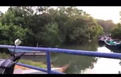 Singing while sitting on the edge of a bridge fence