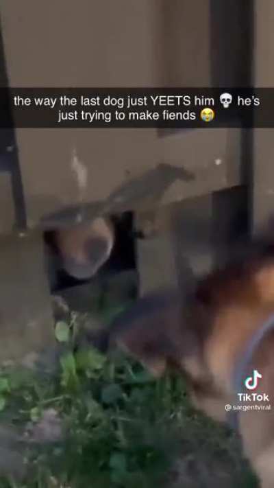 Peeping drama