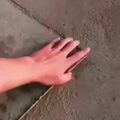 Thanks, I hate spiders