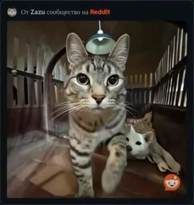 Зазу идет