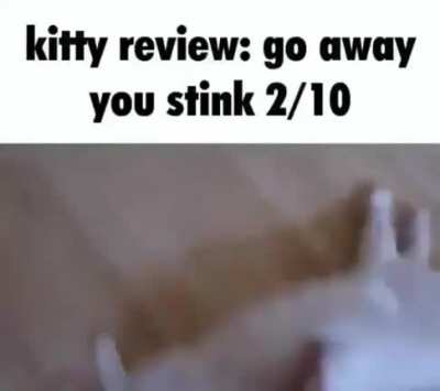 Kitty rule