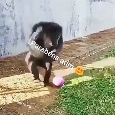 N&atilde;o e anivers&aacute;rio de ningu&eacute;m mais eu fiz essa merda a&iacute; KKKKKKKKKKKKKK