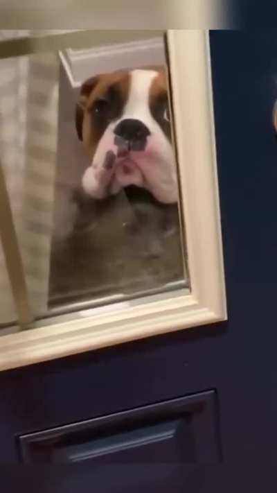 Who is it ?