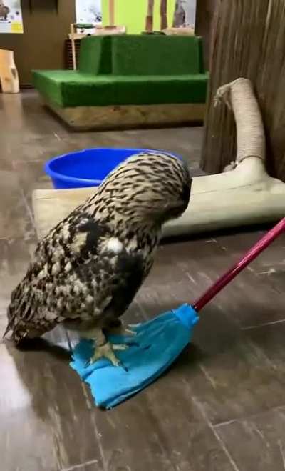 Magic carpet ride