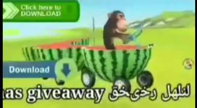 OH NO MR MONKE😳😳😳 COMING THRU ON WATERMELON CAR😗😗😗😎😎😎WATCH OUT WATCH OUT MR PRESIDENT😛😛🥰