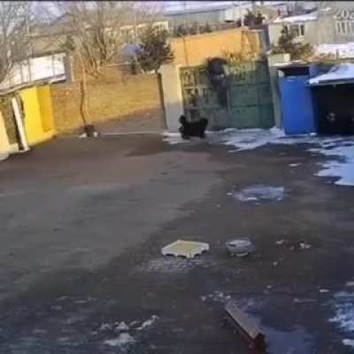 Просто встал, не стой ноги