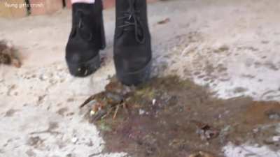 Sophie | Ankle Boots | Crawdad