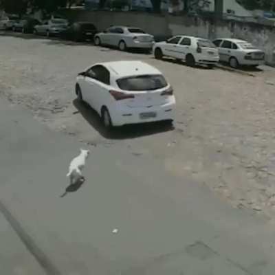 Khada hun aaj bhi vahin