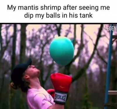 Cbt