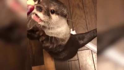 You're not you when you're hungry