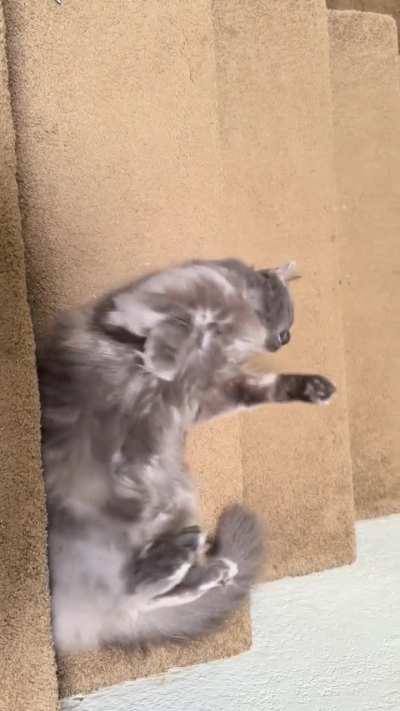 Astra being a goober