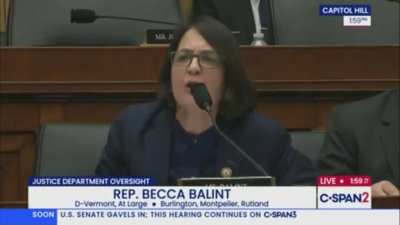 AG Bondi Accuses Lawmaker of Anti-Semitism: Rep. Balint Fires Back: “Do You Want to Go There? I Lost My Grandfather in the Holocaust!”