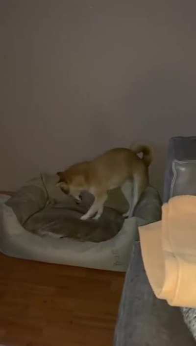 Doge Mining