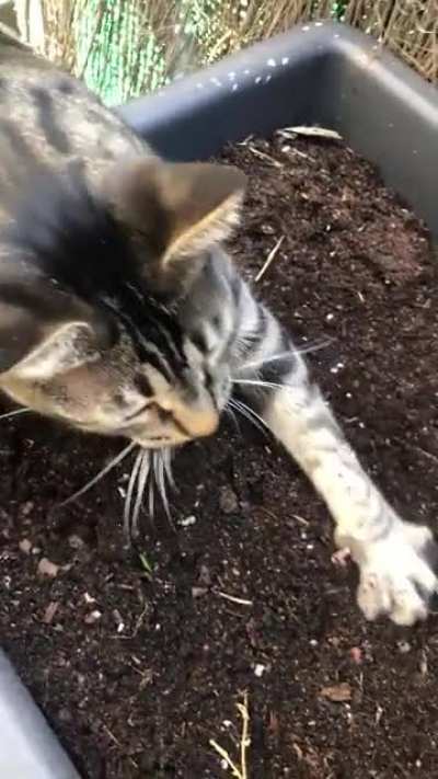 Gardener