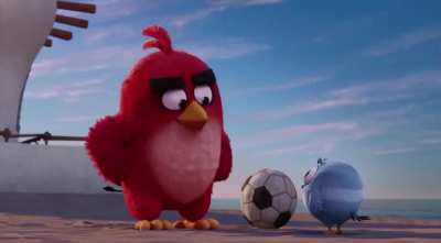 Bird