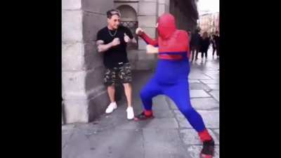 spiderman no way no momo