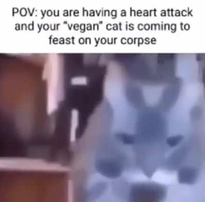very halal