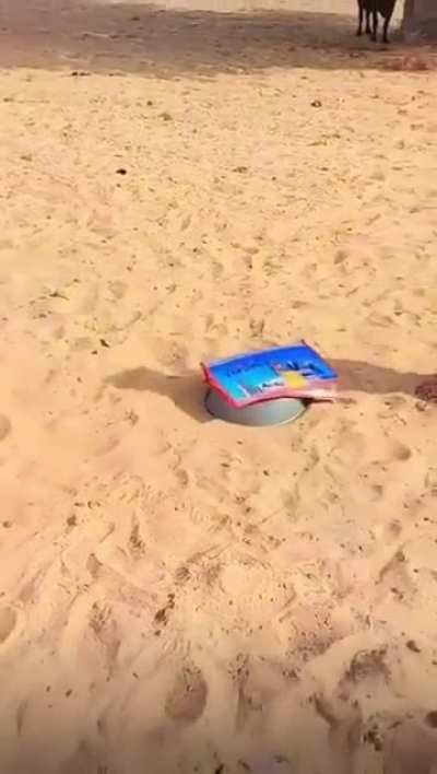 That bonk at the end though! 