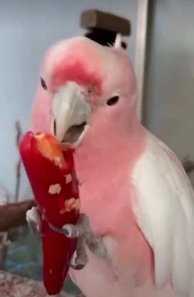 Yum!