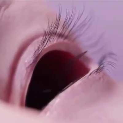 Blursed eye