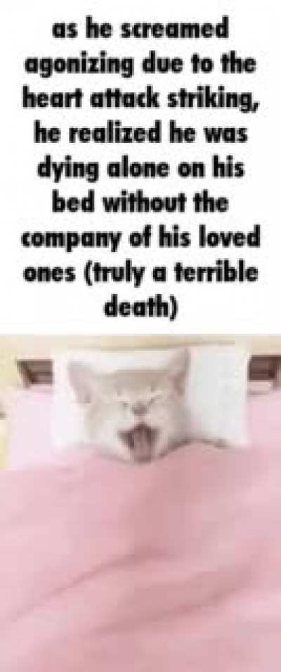 Rule :'(