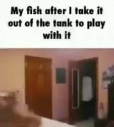 Fsh