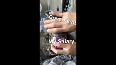don't commit taxfraud!