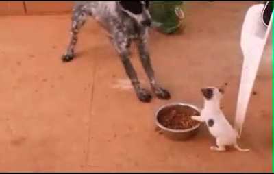 This is my food.