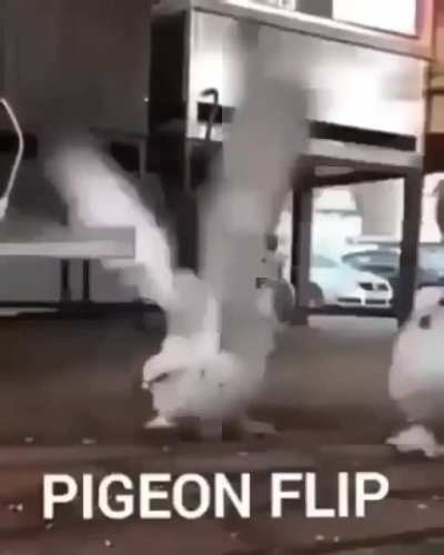 rule