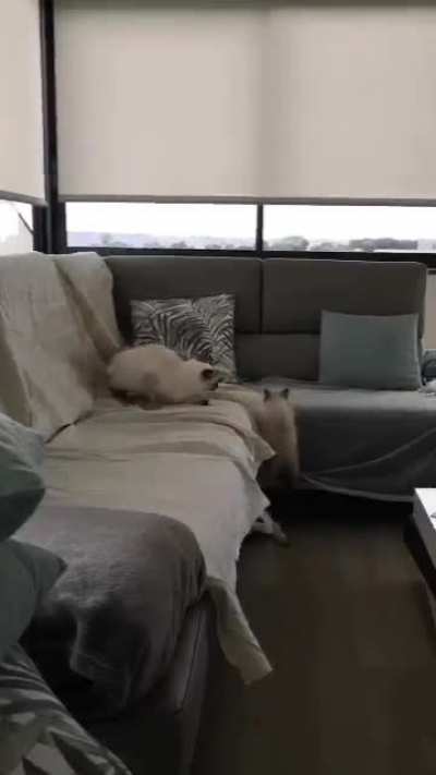 Playtime with mom