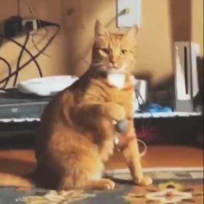 Nothing to see here